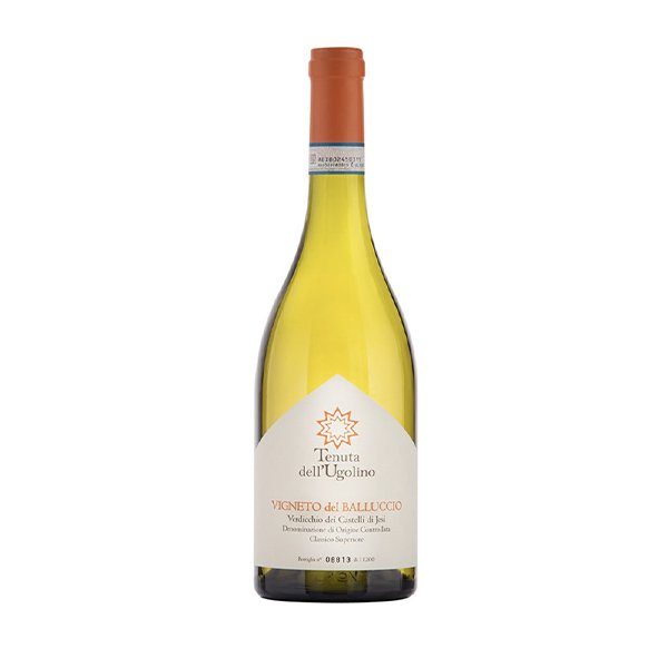 Tenuta-dellUgolino-Vigneto-del-Balluccio-2022